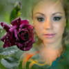 mj28flor